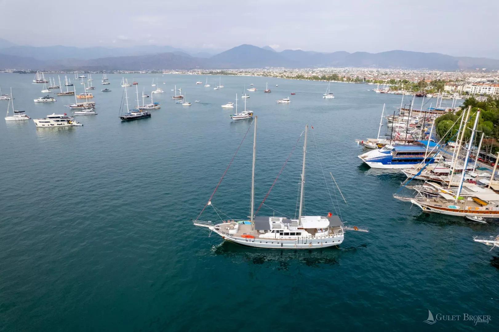 Gulet Diamond Lila