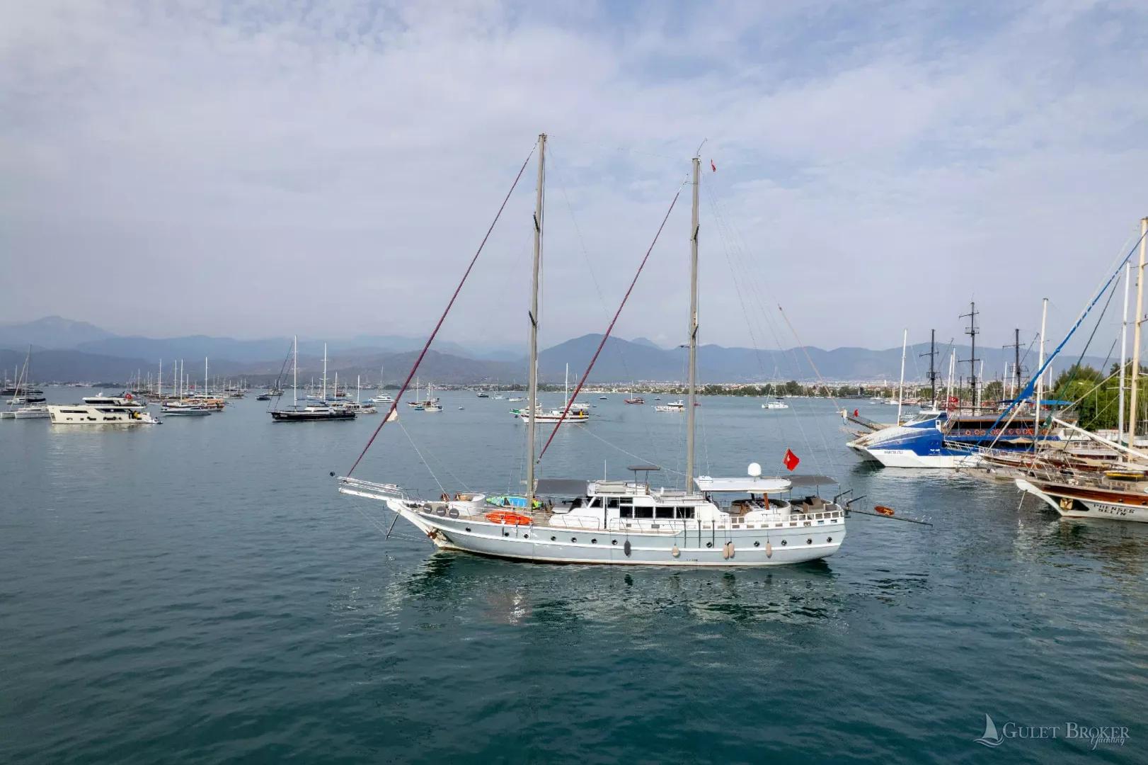 Gulet Diamond Lila