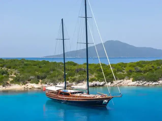 Gulet Performance Fee