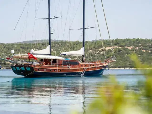 Gulet Performance Fee