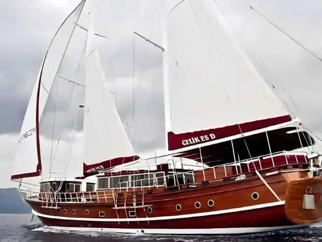 Gulet Celik Es D