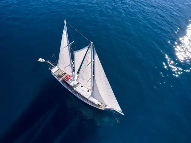 Gulet White Pearl